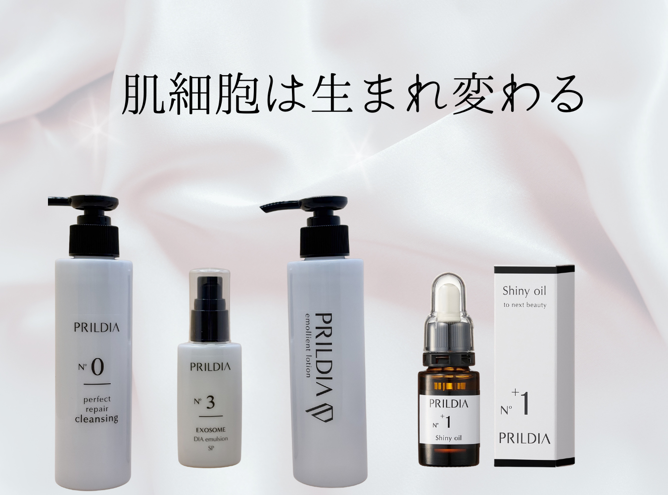 肌細胞は生まれ変わる